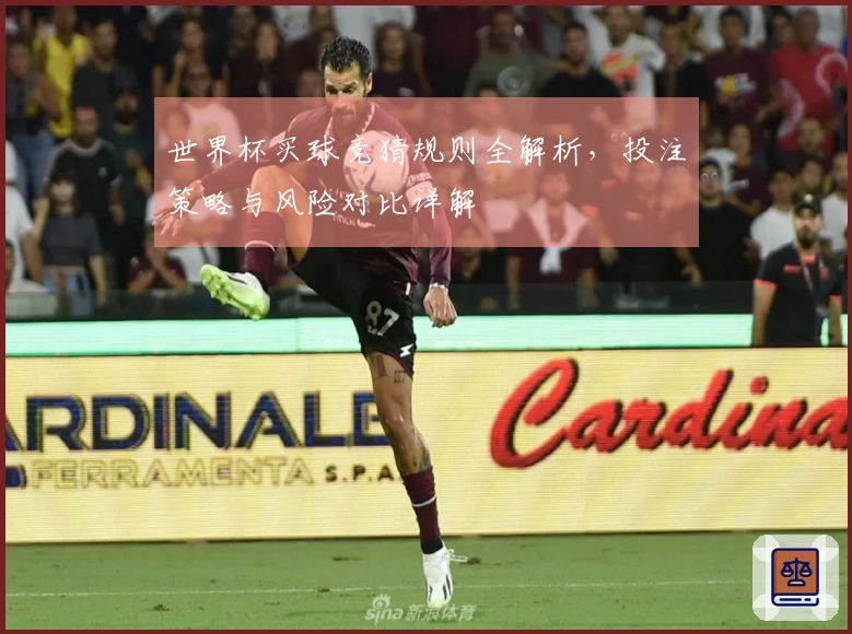 世界杯买球竞猜规则全解析，投注策略与风险对比详解