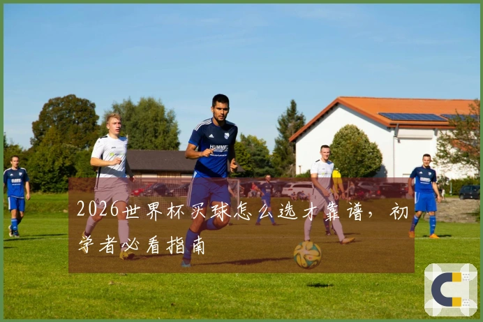 2026世界杯买球怎么选才靠谱，初学者必看指南