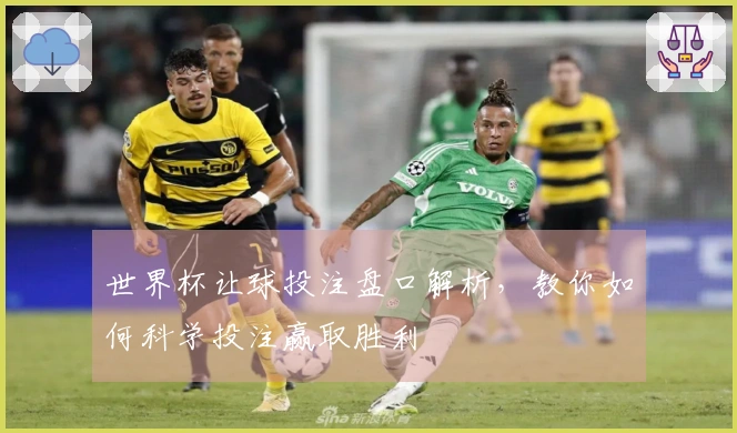 世界杯让球投注盘口解析，教你如何科学投注赢取胜利