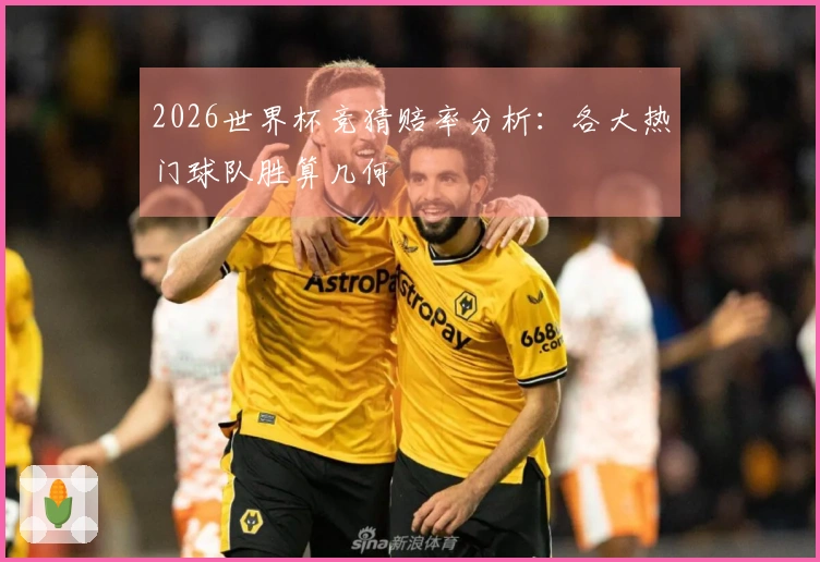 2026世界杯竞猜赔率分析：各大热门球队胜算几何