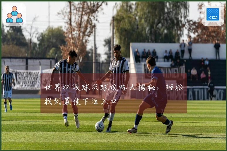 世界杯滚球买球攻略大揭秘，轻松找到最佳下注入口