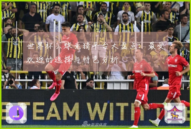 世界杯买球竞猜平台大盘点：最受欢迎的选择与特色分析