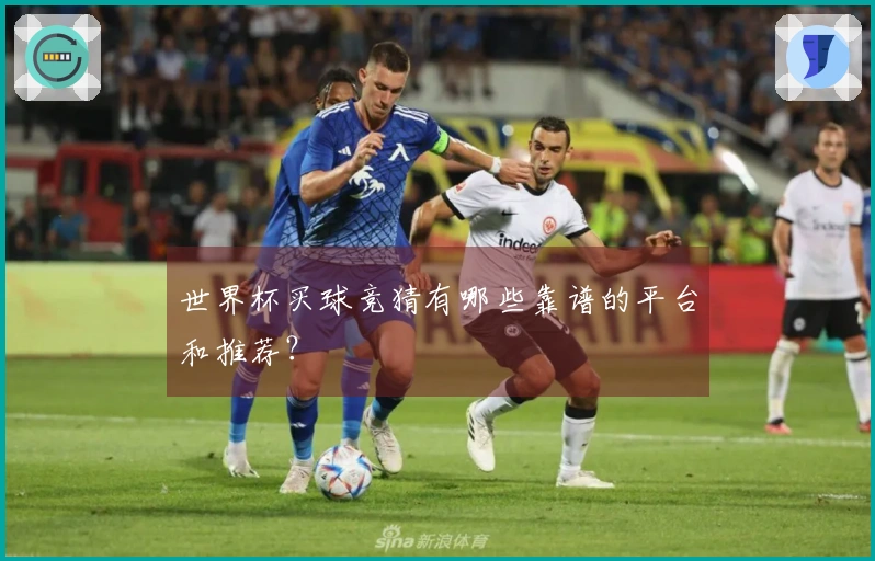 世界杯买球竞猜有哪些靠谱的平台和推荐？