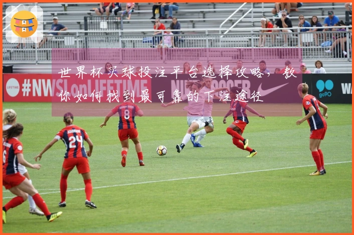 世界杯买球投注平台选择攻略，教你如何找到最可靠的下注途径