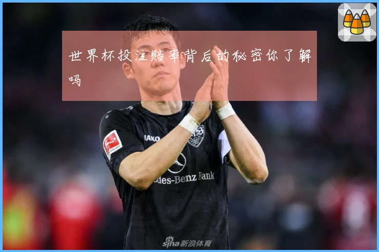 世界杯投注赔率背后的秘密你了解吗