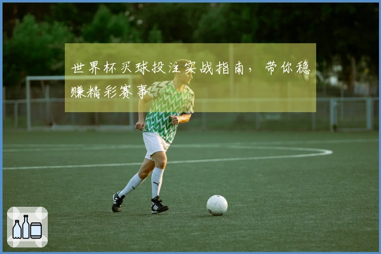 世界杯买球投注实战指南，带你稳赚精彩赛事