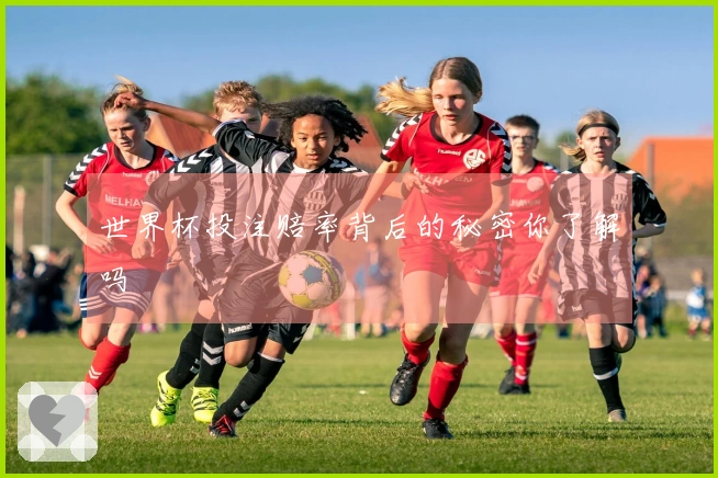 世界杯投注赔率背后的秘密你了解吗