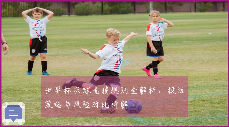 世界杯买球竞猜规则全解析，投注策略与风险对比详解