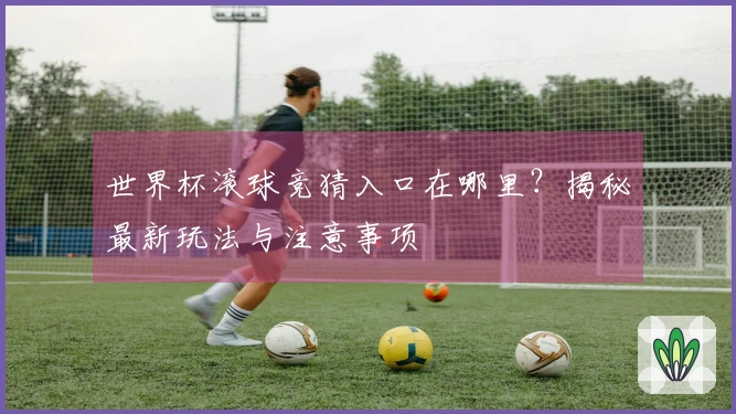 世界杯滚球竞猜入口在哪里？揭秘最新玩法与注意事项