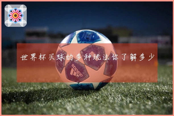 世界杯买球的多种玩法你了解多少