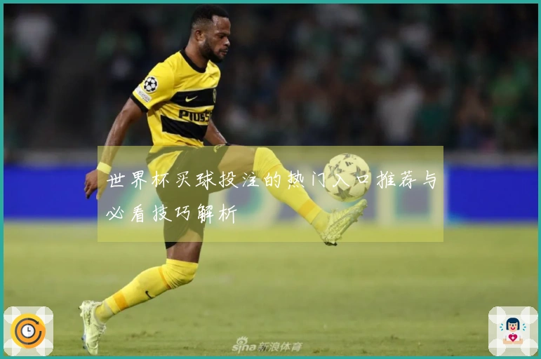 世界杯买球投注的热门入口推荐与必看技巧解析