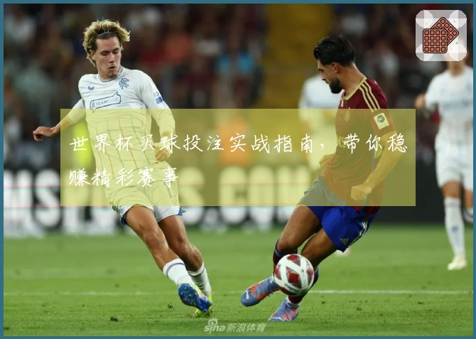 世界杯买球投注实战指南，带你稳赚精彩赛事
