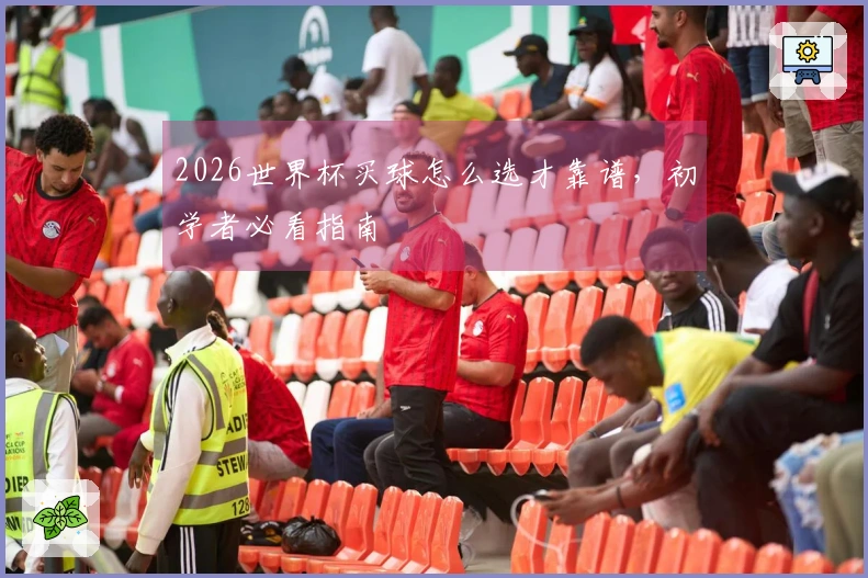 2026世界杯买球怎么选才靠谱，初学者必看指南