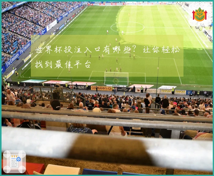 世界杯投注入口有哪些？让你轻松找到最佳平台
